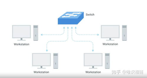 計(jì)算機(jī)網(wǎng)絡(luò)快速入門(mén) 網(wǎng)絡(luò)設(shè)備、電纜及其功能解析